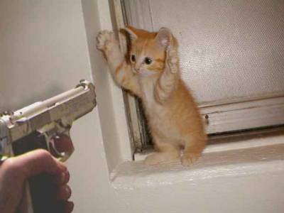 au les pattes
