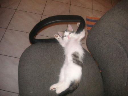 noushka